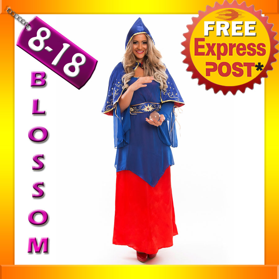 gypsy fortune teller costume