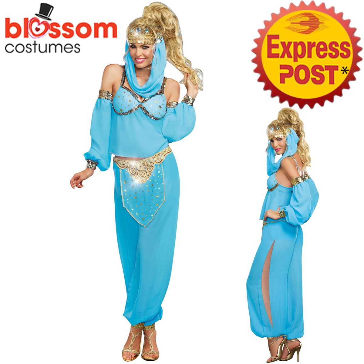 K382 Genie Jasmine Arabian Belly Dancer Princess Aladdin Fancy Dress Up ...