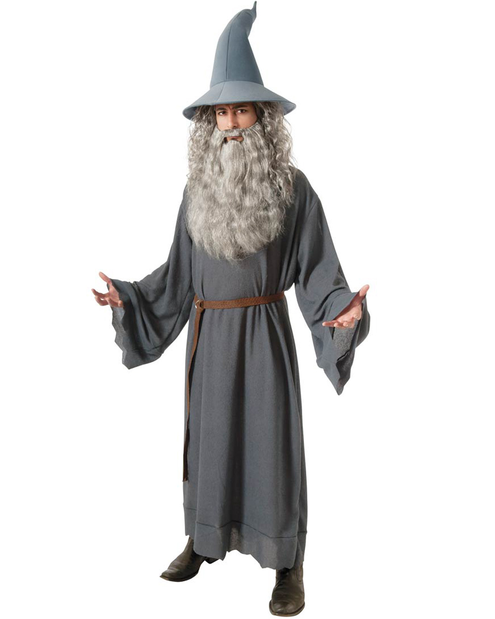 C991 The Hobbits Gandalf Wizard Lord of the Ring Fancy Dress Party ...